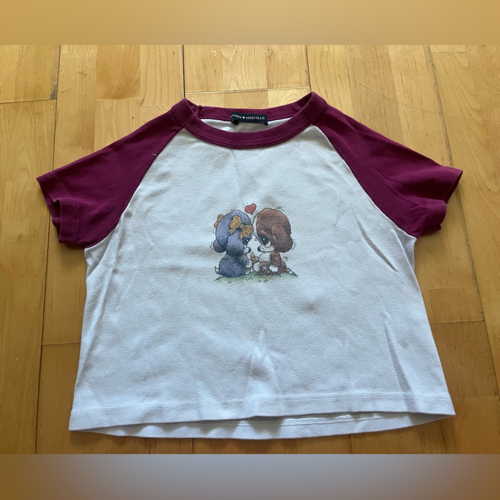 Brandy Melville Baseball Tee Cropped